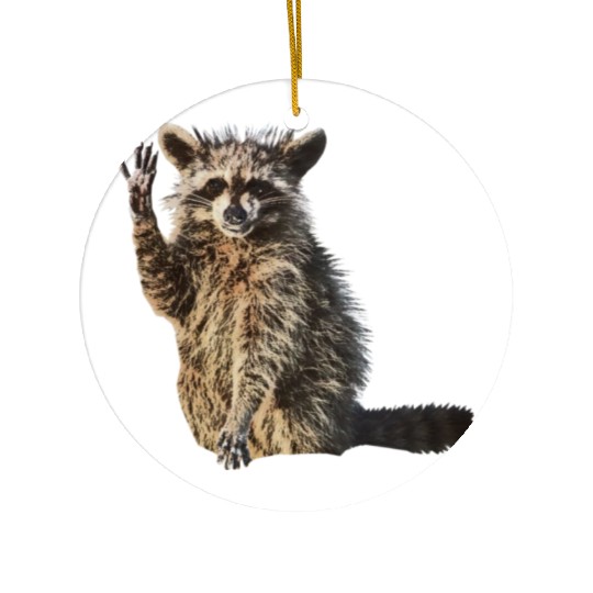 Sunny Raccoon: Happy Print Collection Ceramic Ornaments