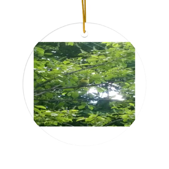 Camouflage Parakeet in Tree Gifts for Animal Lover Ceramic Ornaments