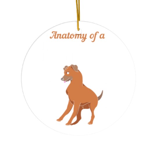 Dog Anatomy Of A Rhodesian Ridgeback Ceramic Ornaments
