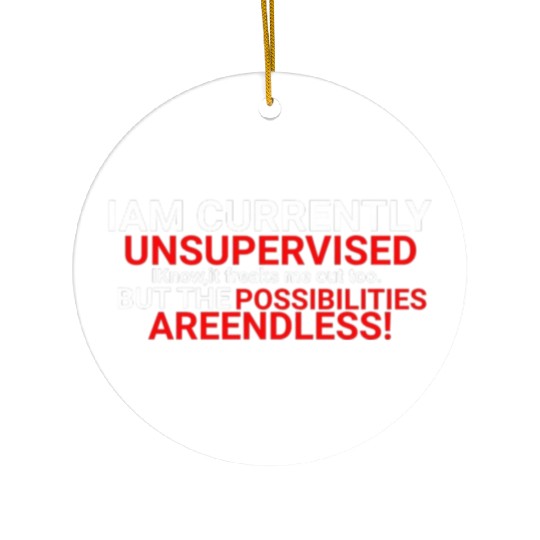 I'm Currently Unsupervised Novelty Graphic Sarcast Ceramic Ornaments