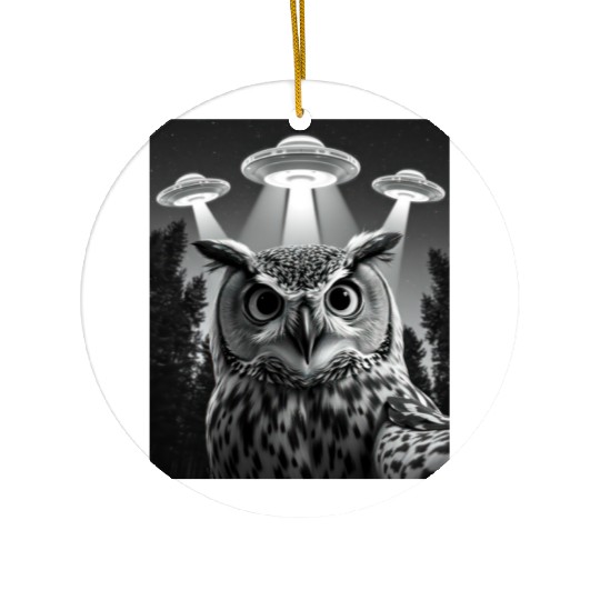 UFO Funny Owl Ceramic Ornaments