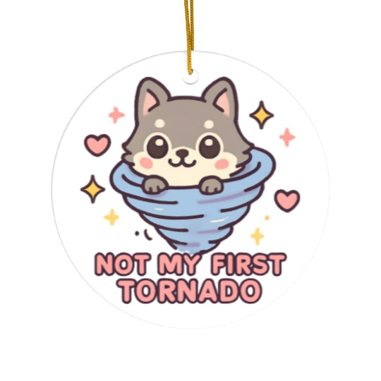 Not My First Tornado Storm Weather Meteorologist Ceramic Ornaments