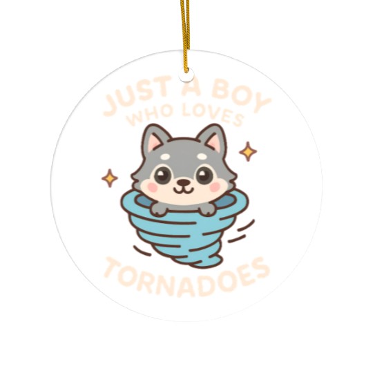Just A Boy Who Loves Tornadoes Storm Meteorologist Ceramic Ornaments