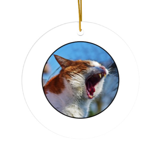 This is Still A Surprised Face Funny Cute Cat Meme Ceramic Ornaments