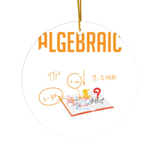 Mathematician Math Teacher Mathematics Ceramic Ornaments