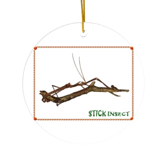 Real Stick Insect  Ceramic Ornaments