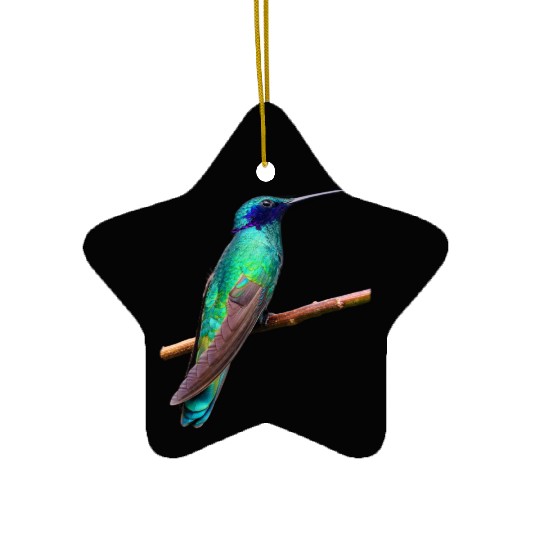 Hummingbird Ceramic Ornaments