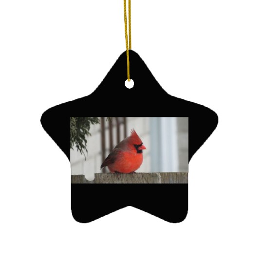 Brilliant Cardinal Bird 2 Ceramic Ornaments