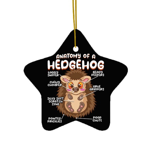 Anatomy Of A Funny Hedgehog Ceramic Ornaments