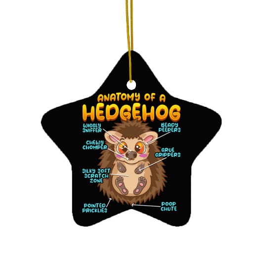 Anatomy Of A Funny Hedgehog Ceramic Ornaments