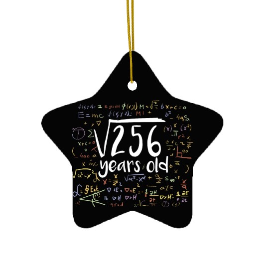 16th Birthday Square Root of 256: 16 Years Old Ceramic Ornaments