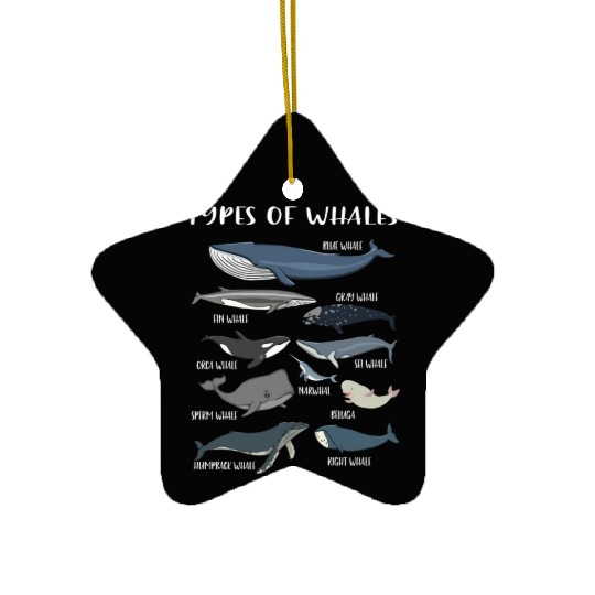 Whale Types Of Whales Whale Lover Ceramic Ornaments