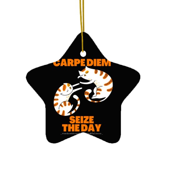 Cats Lover Carpe Diem Seize The Day Ceramic Ornaments