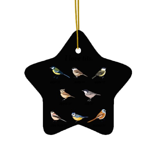 I Love Tits Birdwatching Bird Lover Ceramic Ornaments