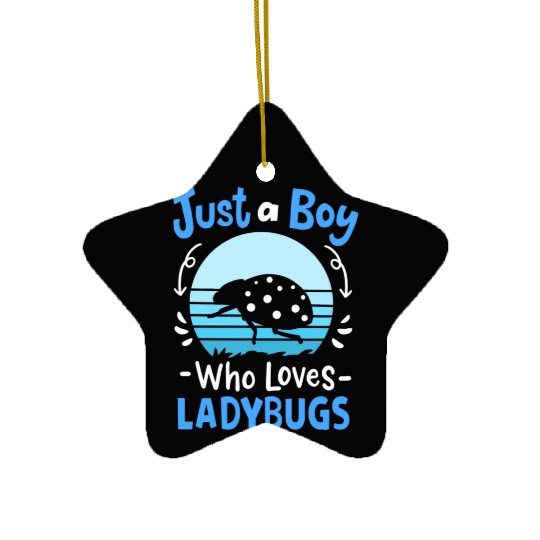 Ladybug Insect Ladybug Lover Retro Ceramic Ornaments