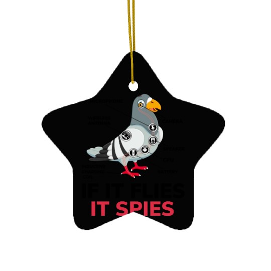 If It Flies It Spies Pigeon Anatomy Bird Aren t Ceramic Ornaments