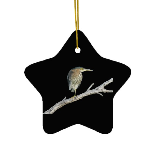 Green Heron Ceramic Ornaments