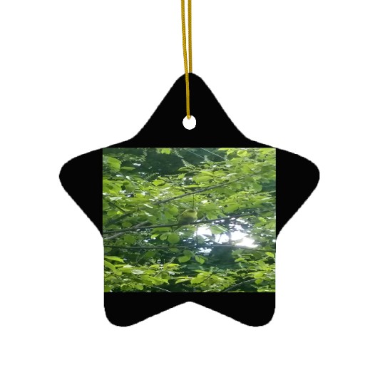 Camouflage Parakeet in Tree Gifts for Animal Lover Ceramic Ornaments