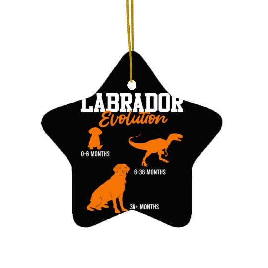 Labrador EVOLUTION Labrador Lover Labrador Ceramic Ornaments
