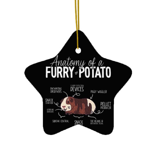 Guinea Pig Anatomy, Guinea Pig Lover, Guinea Pig Ceramic Ornaments