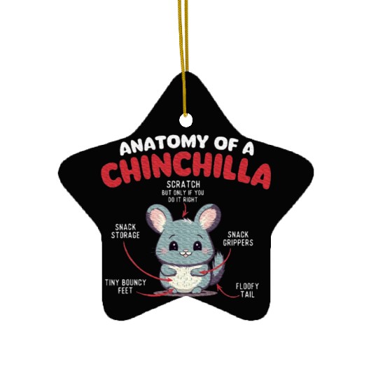 Anatomy Of A Chinchilla Rodent Lover Zoologist Pet Ceramic Ornaments