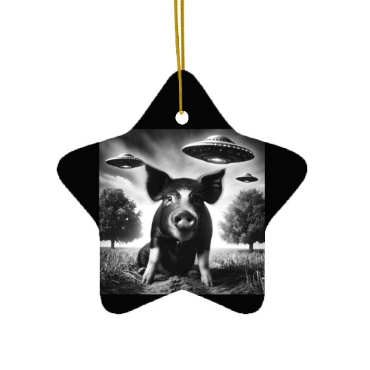 Pig piggy piglet Funny Graphic Selfie with UFOs We Ceramic Ornaments