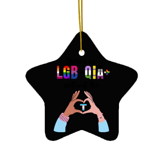 Theres No LGBTQIA Without The T Transgender Pride Ceramic Ornaments