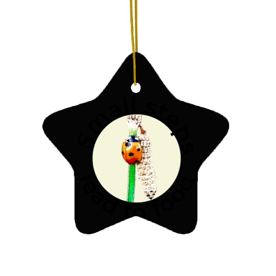 Small Steps Lead to Food – Ladybug Art Ceramic Ornaments