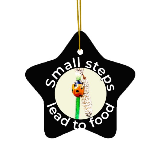 Small Steps – Ladybug White Text Ceramic Ornaments