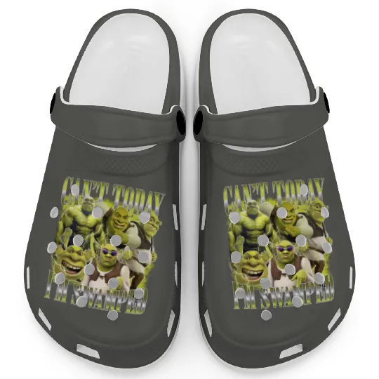 Can't Today I'm Swamped Clogs, Disney Fiona Princess Clogs, Shrek Clogs