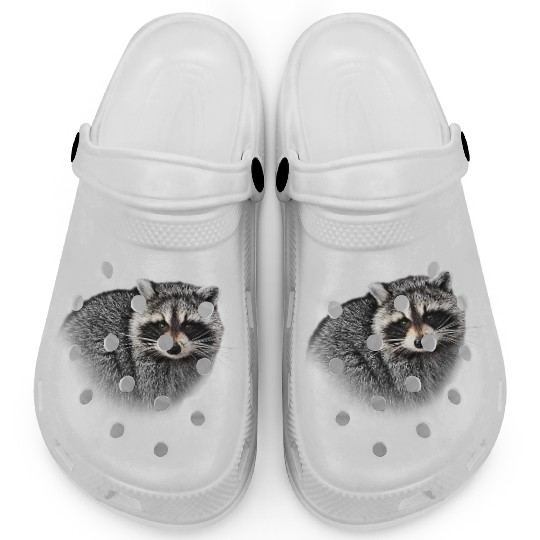 A Gentle Raccoon Clogs