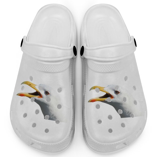 seagull gull moewe1 Clogs
