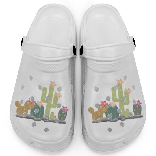Cactus rock garden with different cacti Clogs