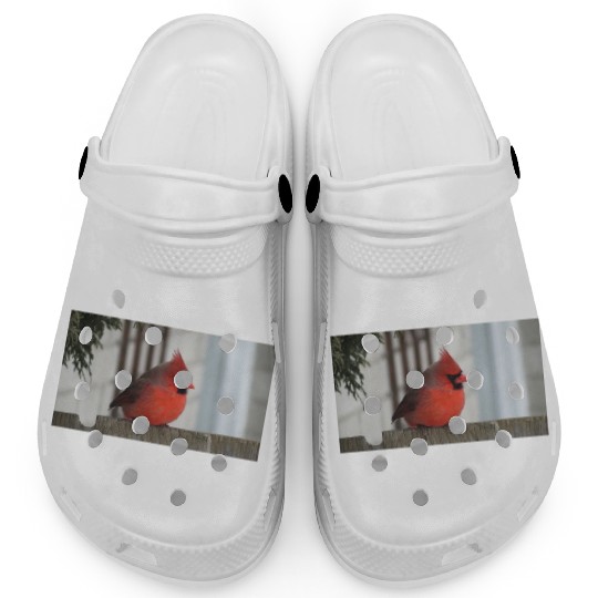 Brilliant Cardinal Bird 2 Clogs
