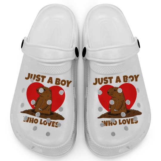 Just A Boy Who Loves Groundhog Clogs
