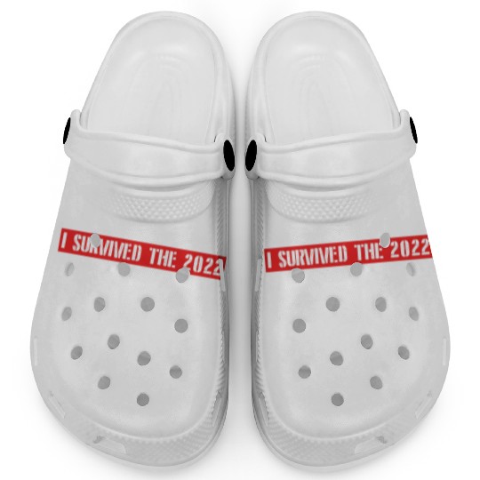 I SURVIVED THE 2022 CRYPTO CRASH RETRO Clogs