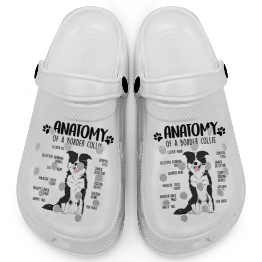 Funny Anatomy Border Collie Dog Lover Clogs