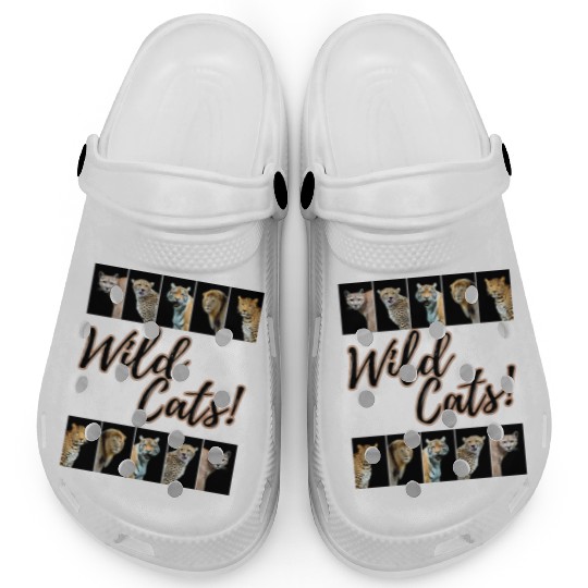WILDCATS! | Lion, Leopard, Cheetah, Puma, Tiger Clogs
