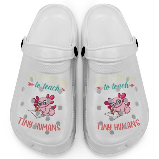 Good Day To Teach Tiny Humans Elementary Teacher Clogs