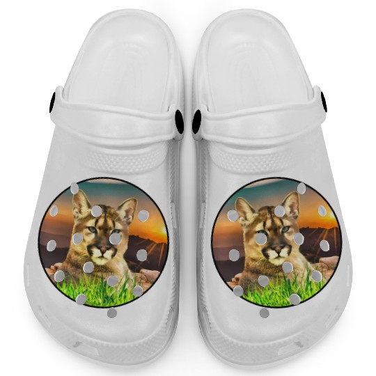 The Coguar wild cat in freedom Clogs