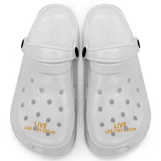 Work While They Sleep Business Motivation Success Clogs