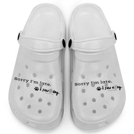 Sorry I m late. I saw a dog. Clogs