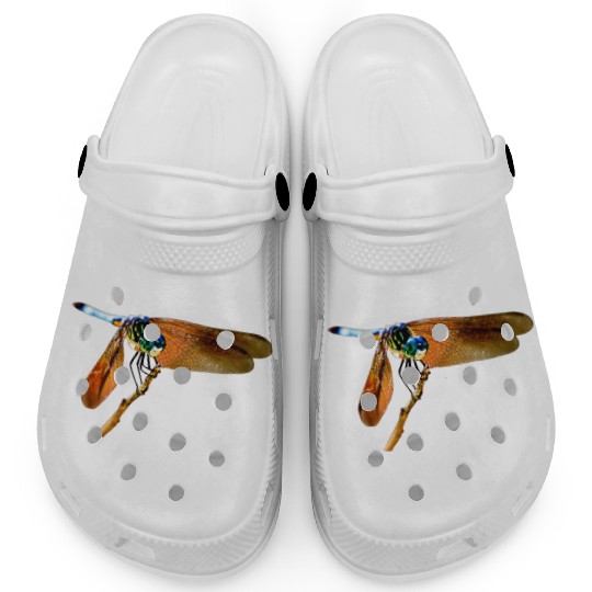 Colorful dragonfly on a branch Clogs