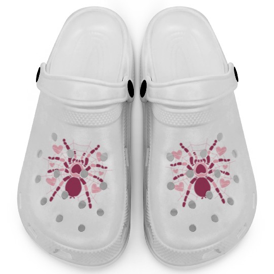 Tarantula Tarantula Amphibian Terrarium Spider Clogs
