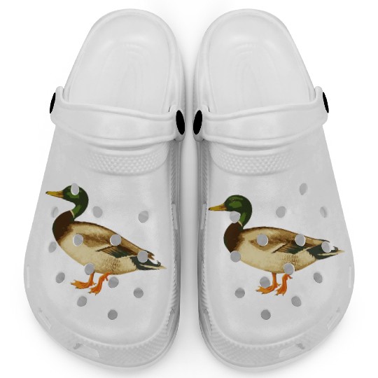 Mallard Duck Cute Duck Wild Duck Lover Clogs