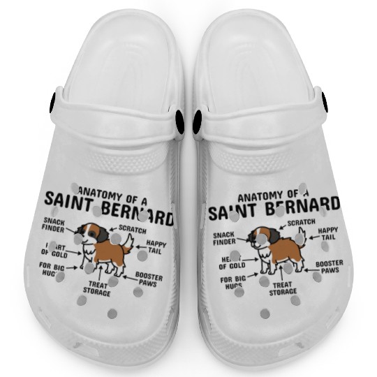 Anatomy Of A Saint Bernard Clogs