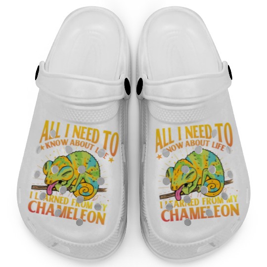 All I need to know about life Chameleon Clogs