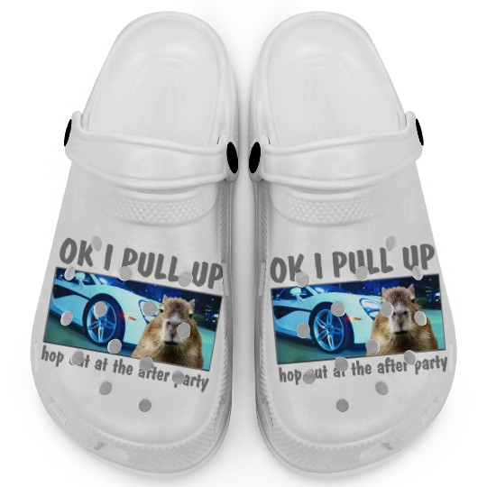 Ok I Pull Up Capybara Meme After Party Rap Song ar Clogs
