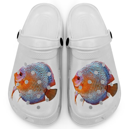 DISCUS FISH - Snakeskin, orange/blue Clogs