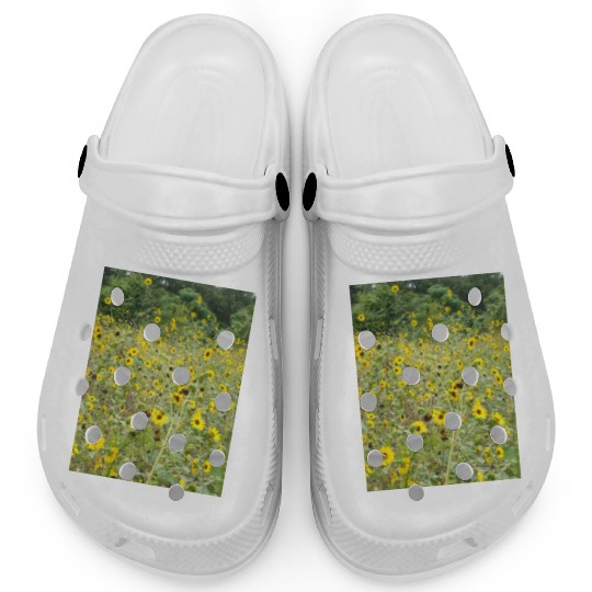 My Photography - Swamp Sunflowers in Texas Clogs
